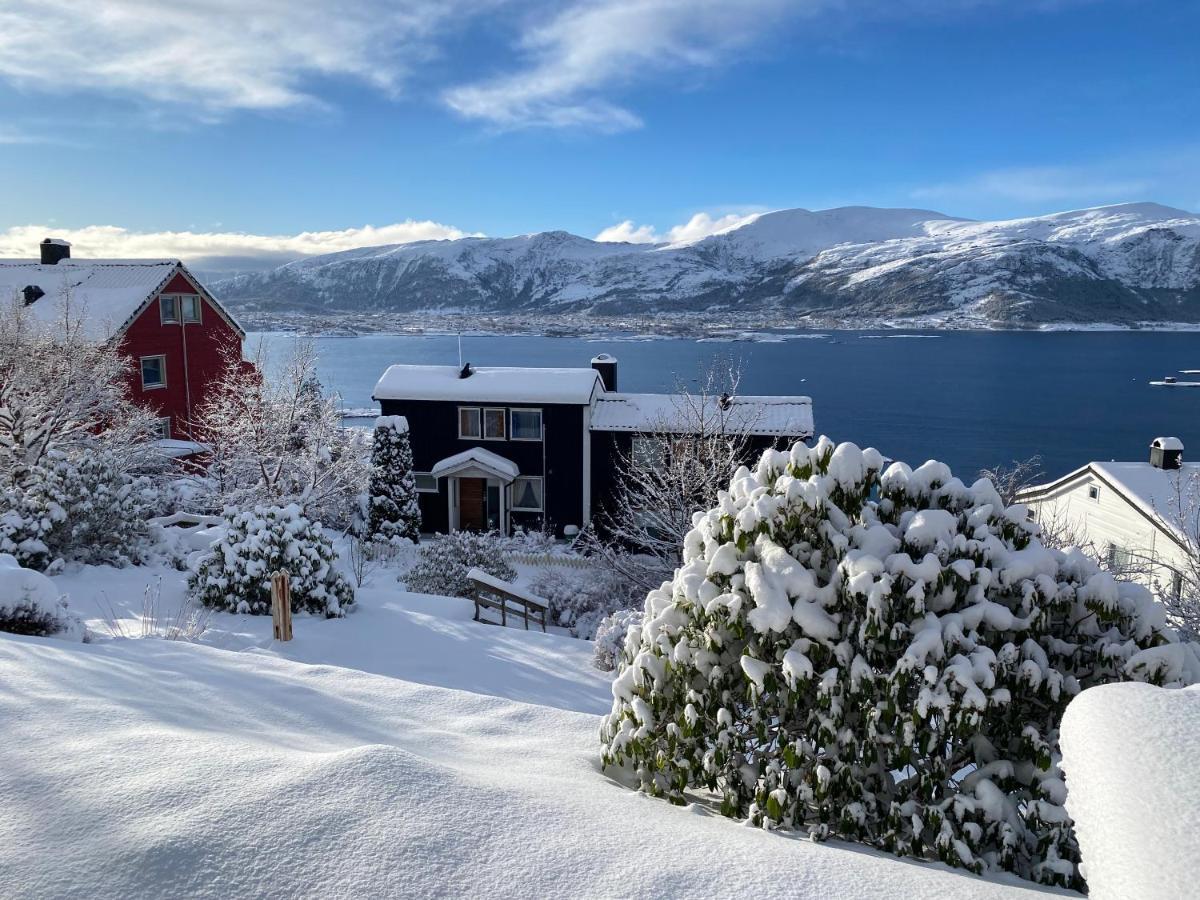 Great Place With View To The Mountains And Fjord Alesund Exterior photo